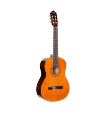 Классическая гитара ROOT NOTE RNC100 NAT