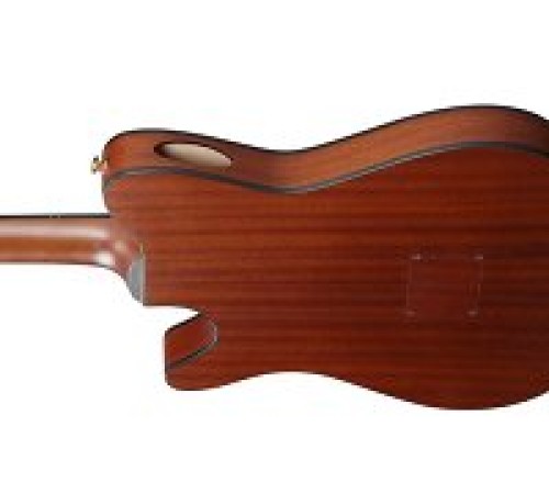 Классическая гитара с подключением IBANEZ FRH10N BSF