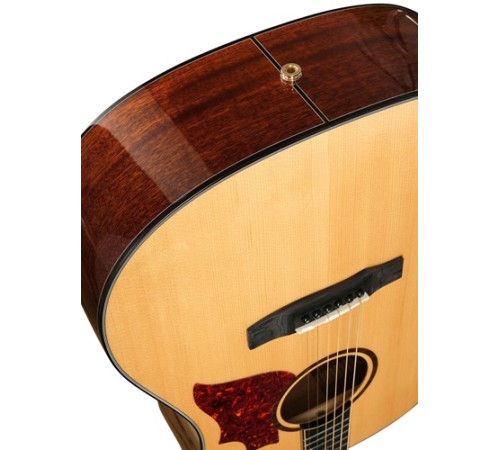 Трансакустическая гитара JOYO JWGT02 