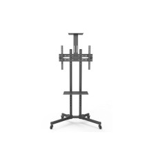 Стойка для дисплеев 32”– 65” WIZE M55 