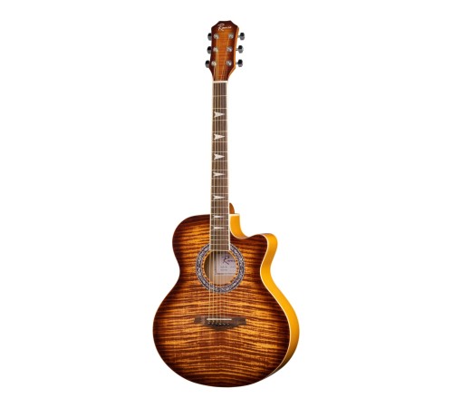 Акустическая гитара RAMIS RA-A01C 