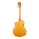 Акустическая гитара RAMIS RA-A01C 