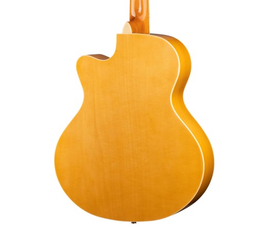 Акустическая гитара RAMIS RA-A01C 