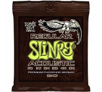 Струны для акустической гитары ERNIE BALL 2146 12-54