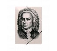 Папка на резинке "БАХ" 4334